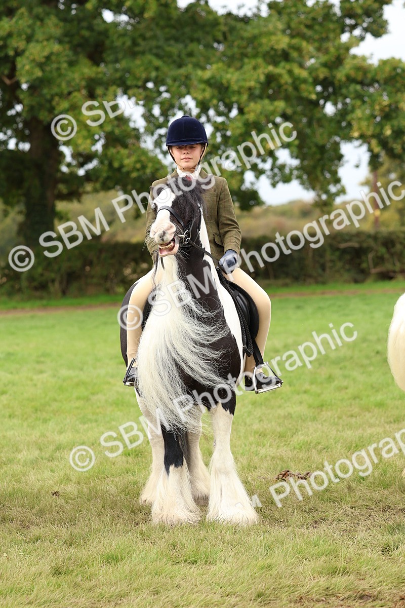 SBM_64455 - S58 - Coloured Pony Ridden