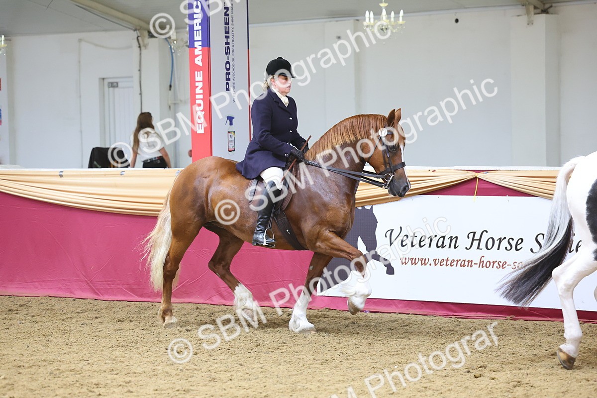 SBM_24914 - Supreme Final - Ridden Champion