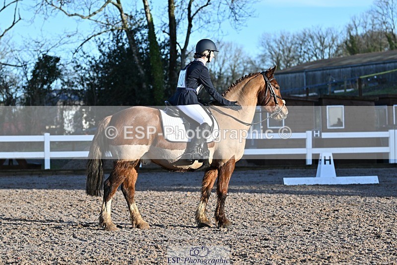 250125-093109-00056 - Dressage - CT Class 1 & 2 Intro 1