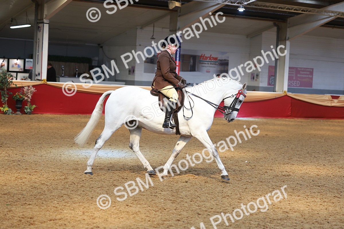 SBM_12563 - Class 103 - HOYS Veteran Qualifier - Ridden Pre Vet