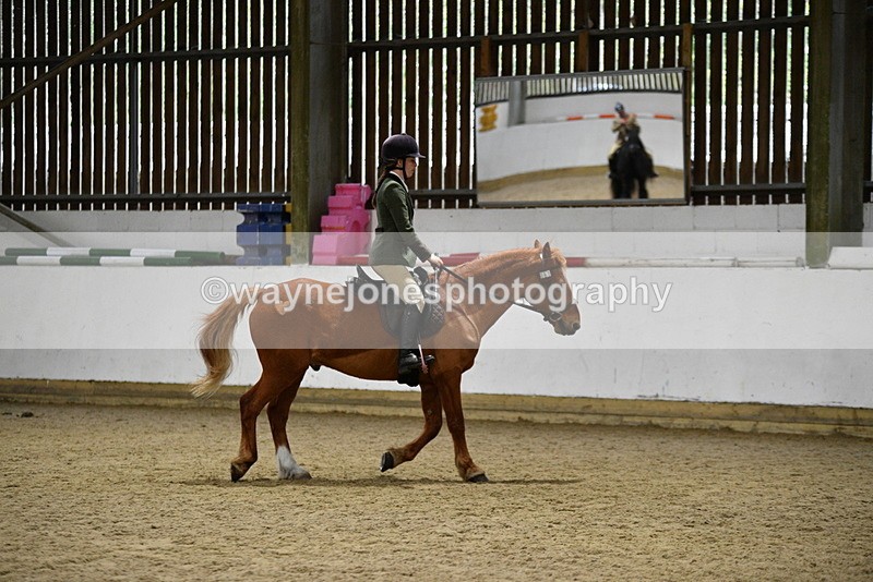 WJ5_8499 - Class 14 Novice Ridden/Rider