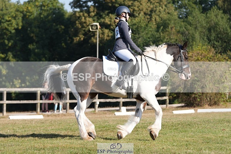 250823A-091437-25654 - Arena A