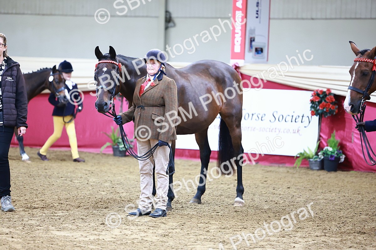 SBM_21804 - Class 901 - Supreme Final - IH  Diamond