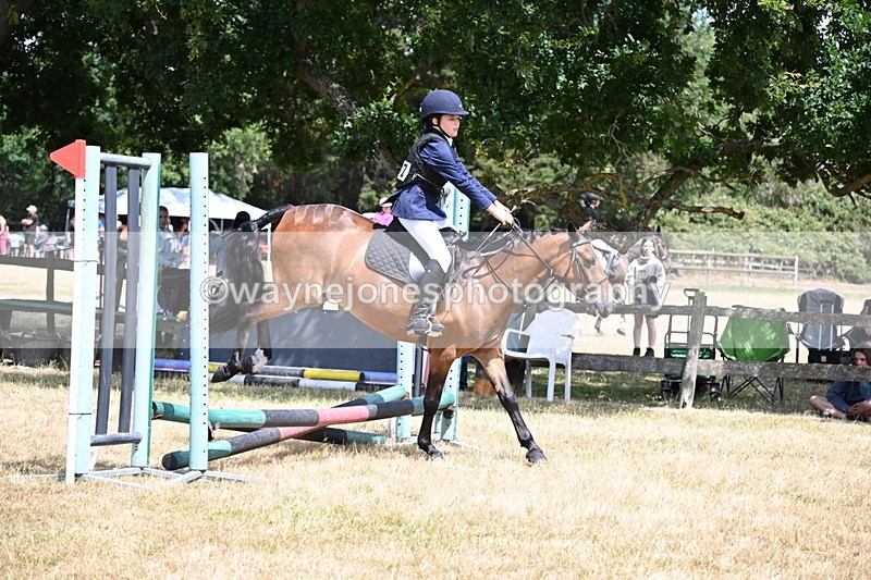 WJ6_5402 - Class 12 Minimus Jumping 45cm