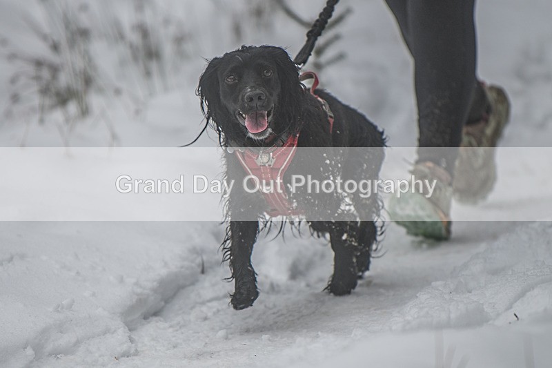 Glentress-1426 - High Terrain Events Glentress 42, 21 & 10K Trail Races Sunday 15th February 2026