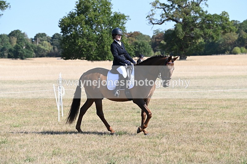 WJ6_7197 - Class 33 Rescue Pony