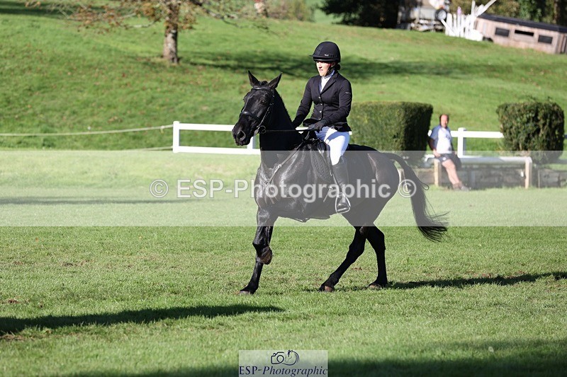 231022-143328-28199 - 505-MR.DARCY-Eleanor.Newcombe-TrotUp+SJ