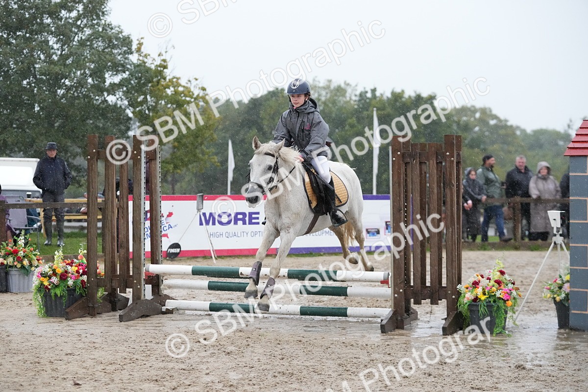 SBM_36103 - J5 - Junior Pony 50cm Championship
