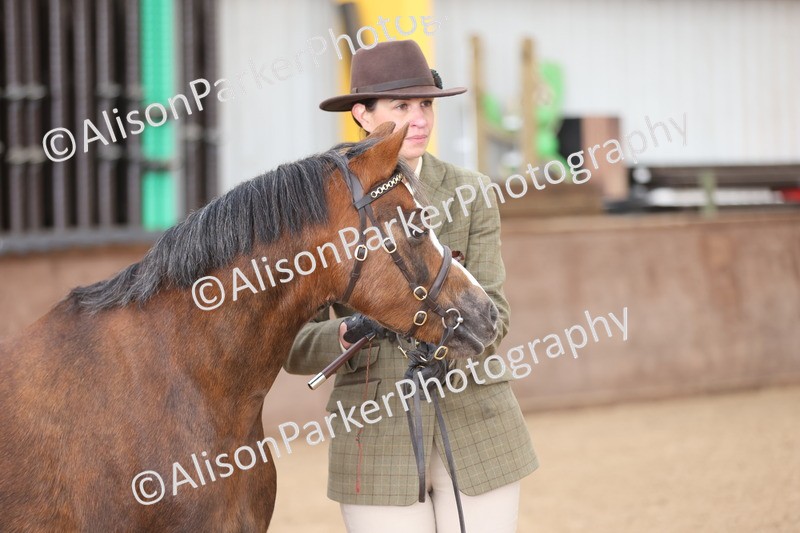 20251109-0644 - Class 22 - Geldings 4 Years and over