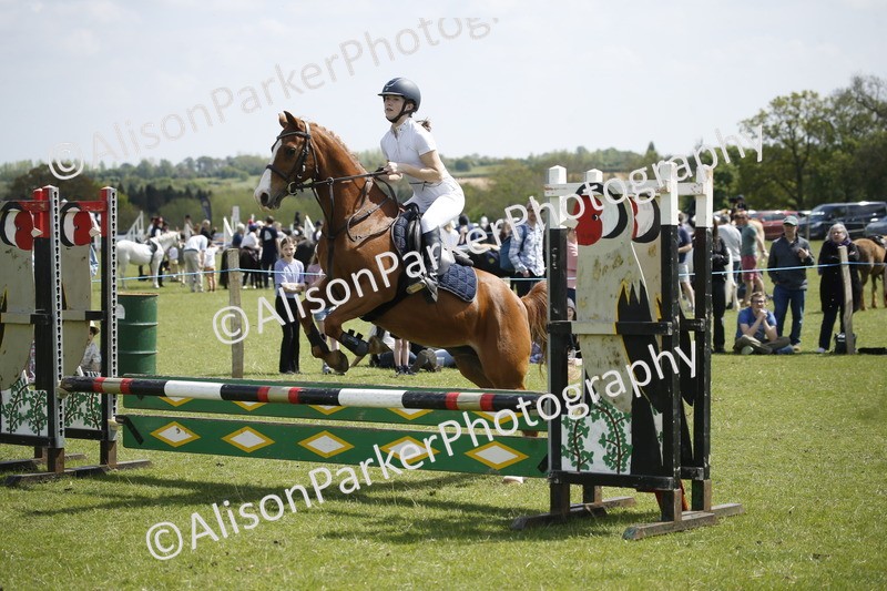 20250427-3702 - Class 14 - Absolute Novice 70cm