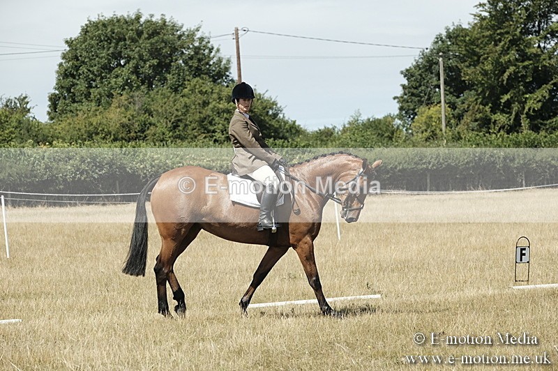 _PJP5837 - Dressage Classes BVRC Show 2018
