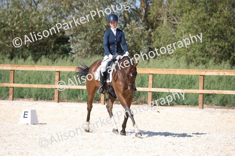 20260905-1487 - Class 5 - Novice 2