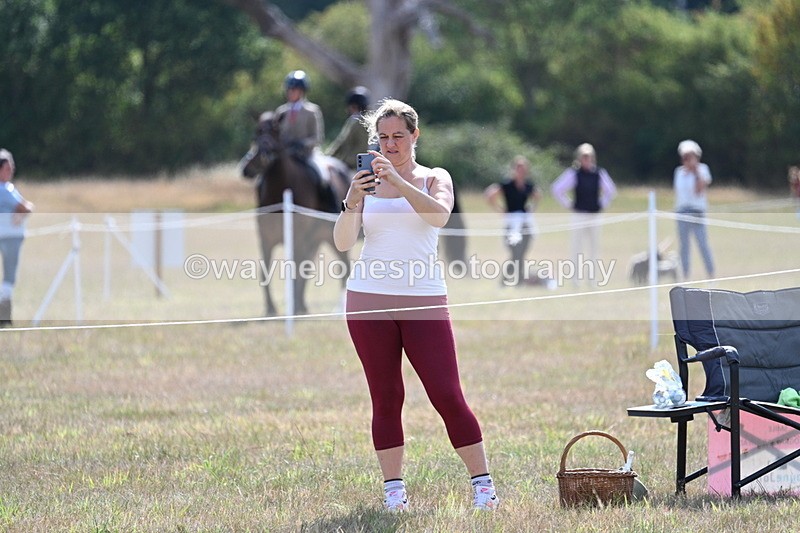 WJ7_2678 - Class 8 Ridden Tack & Turnout
