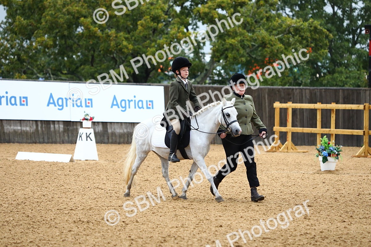 SBM_34544 - D26 - Starters Lead Rein