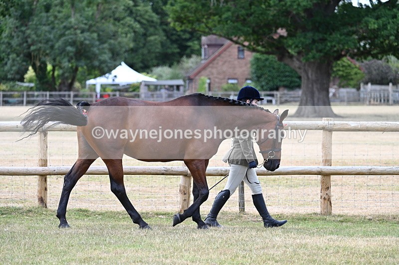 WJ7_1809 - Class 4a Prettiest Mare 14.2hh and over hand
