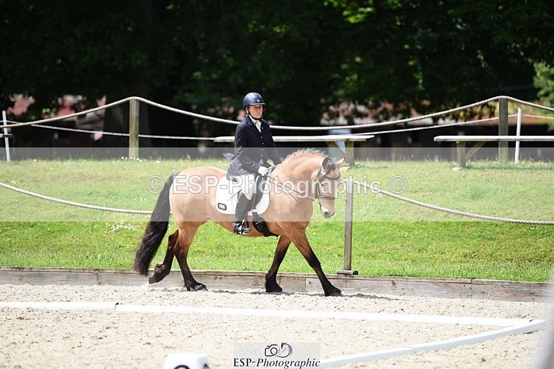 240605-124040-00942 - Cls 4 Novice 37 SQ