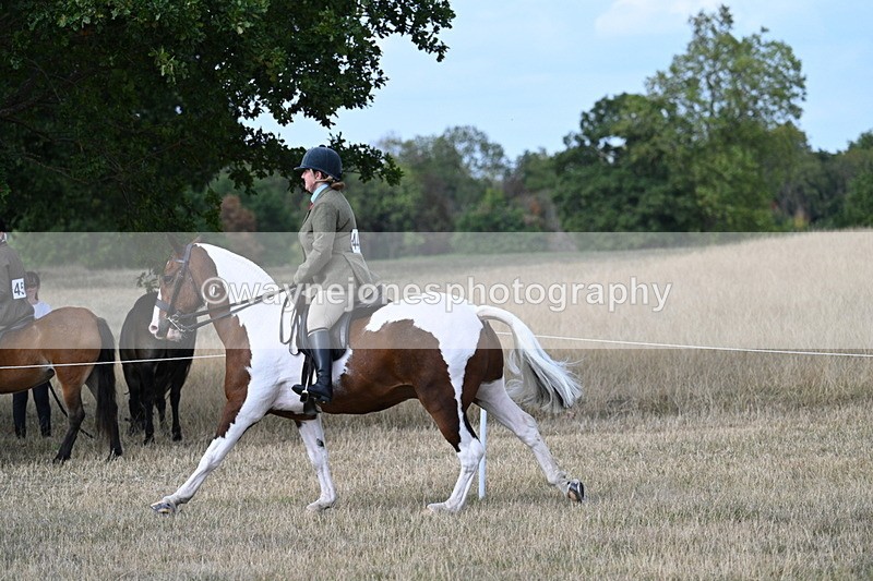 WJ7_7306 - Class 14 Ridden Coloured