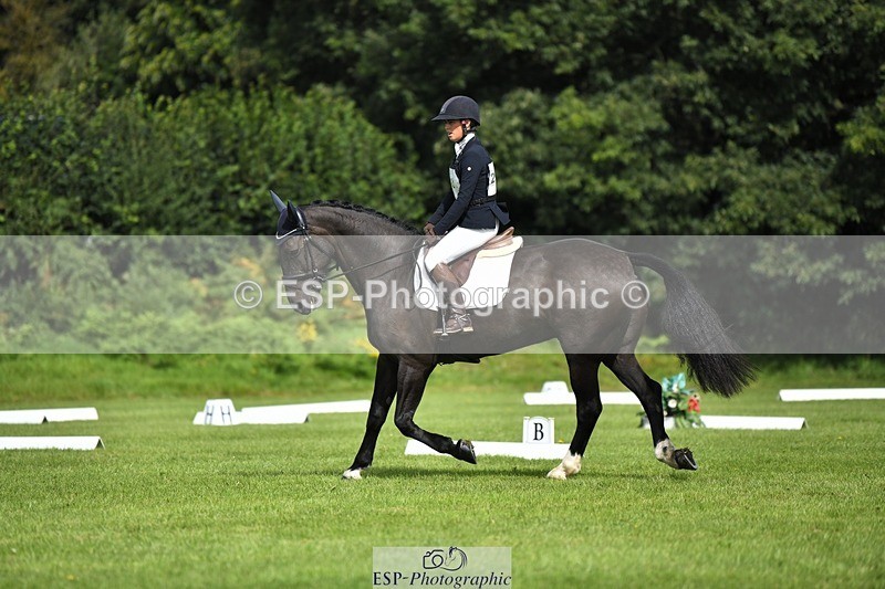 230826-110158-15701 - Sections C & D 10 to End