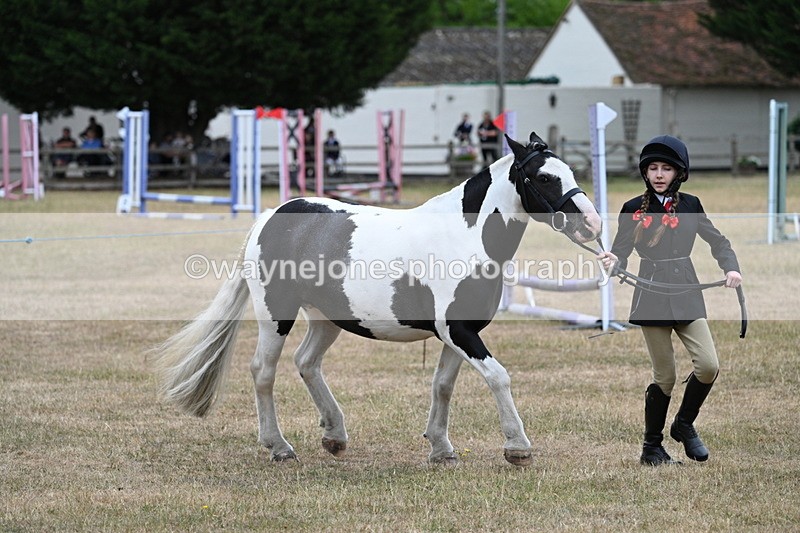 WJ7_8281 - Class 4 Prettiest Mare up to 14.2hh