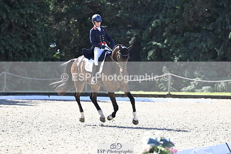 250522A-101233-02639 - B-310-Kitty.King-LISCARROW.FERNHILL