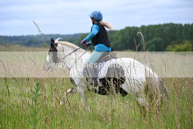 WJ6_8151 - Camera 1 Gallops
