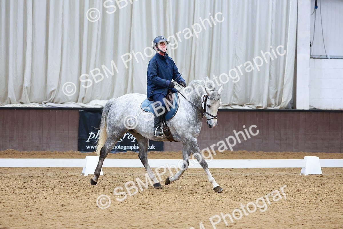 1I0A0981 - Class 3-6 - Prelim 1-Novice 2