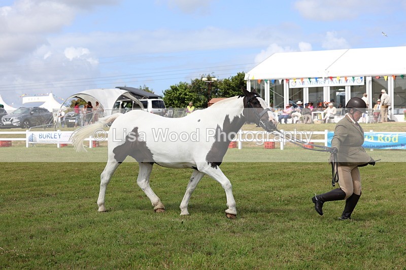 3E7A0077 - Class 5: Rising Star Lightweight/Heavyweight Cobs