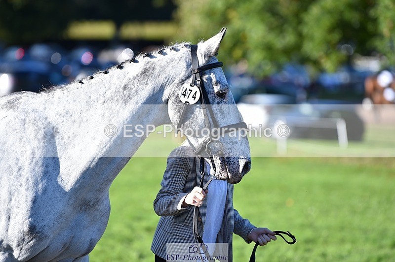 231022-100354-22216 - 474-MENELAUS-Elise.Washer-TrotUp+SJ