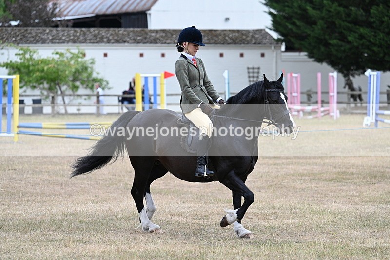 WJ7_0494 - Class 6 Ridden Mountain and Moorland