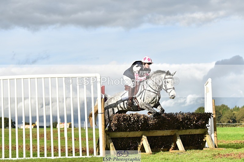 231021-152548-19094 - 553-HARLEQUIN.RABBIT-Althea.Bleekman-SC+XC