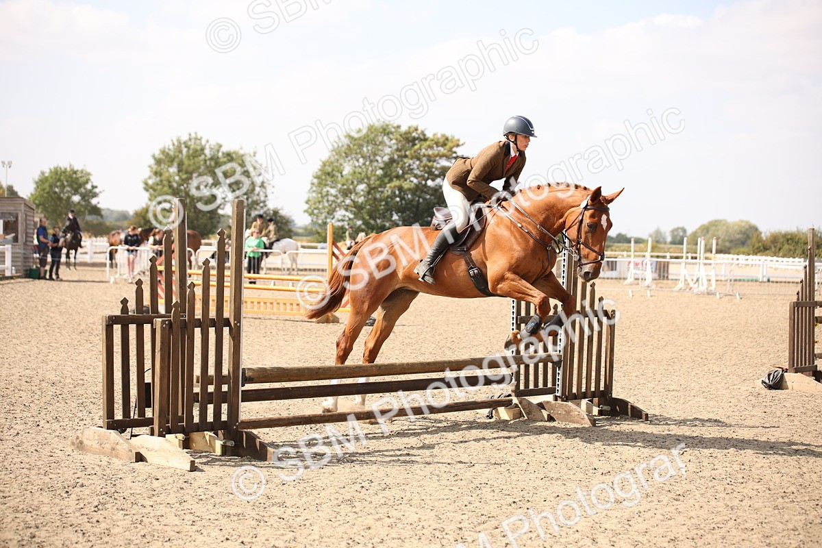 SBM_15010 - Class 408a - Working Veteran 70cm (15-19