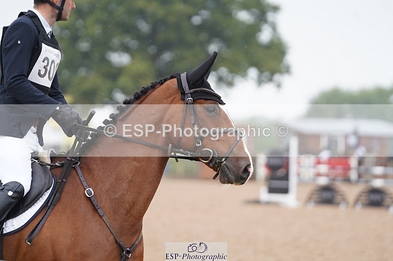 240901A-110440-06511 - 308-Tommy.Greengard-MBF.GOOGLE