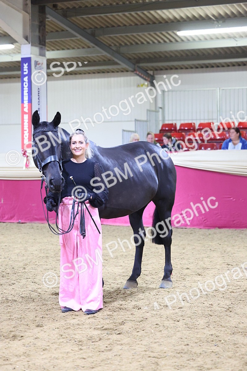 SBM_19162 - Class I Competition/ Riding Club Champ