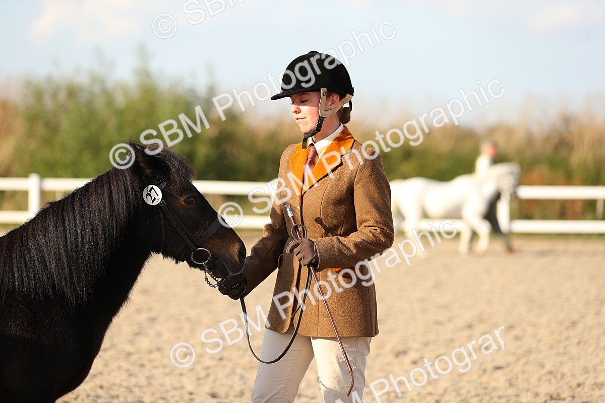 SBM_09032 - Class 29 IH Veteran Pony