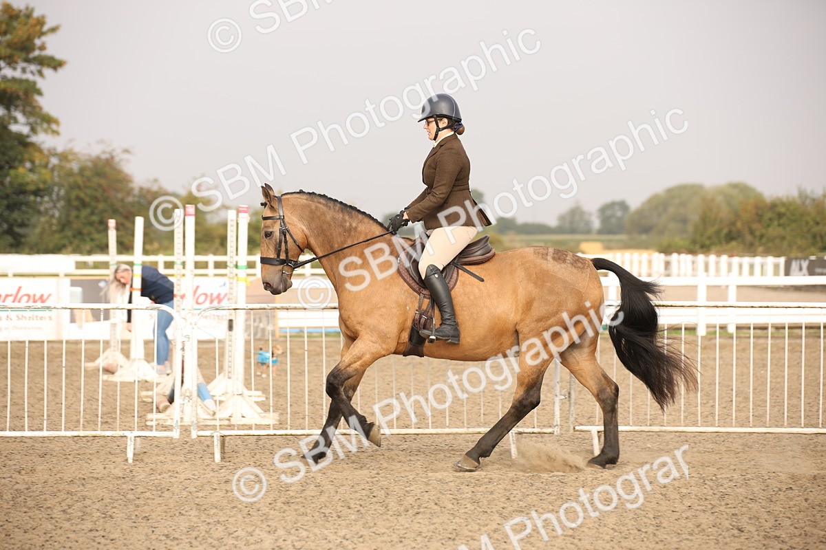 SBM_10218 - Class 402 Riding Club Horse