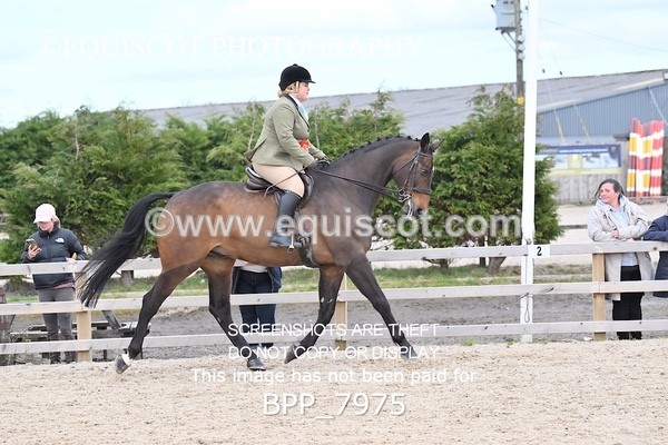 BPP_7975 - SUPREME CHAMPIONSHIP