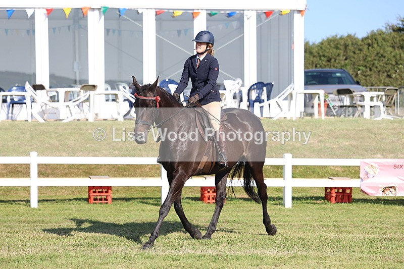 3E7A5595 - Class 2: Rising Star Large Hack/Riding Horse