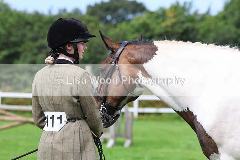 3E7A8760 - Class 5: Working Show Horse