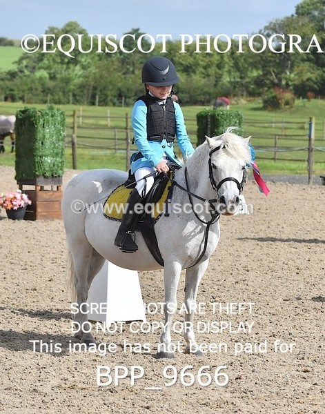 BPP_9666 - CLASS 1 SAT Derby Show Jumping 20CM,