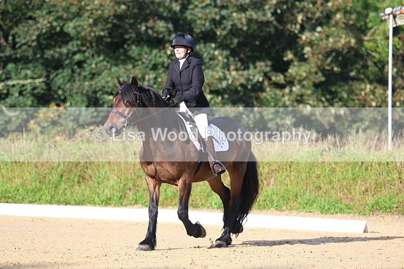 3E7A1837 - Class 1: Intro 4 2024 section A