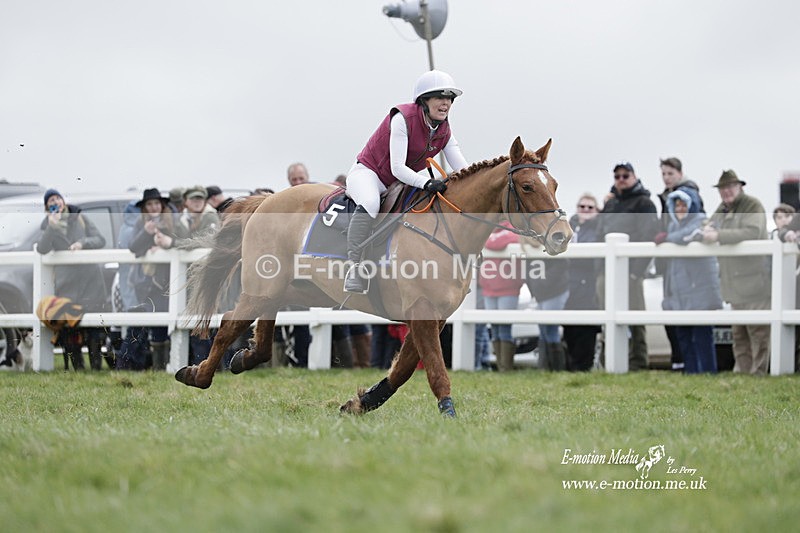 PtP 260323 0271 - New Forest Hounds Point-to-Point Larkhill 26/03/23