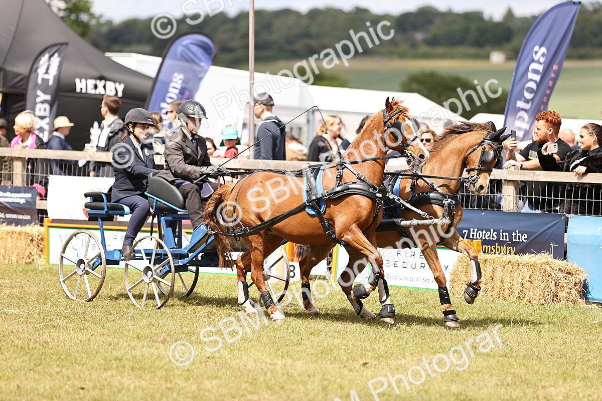 SBM_16133 - Class 91 - Scurry  exceeding 122cms
