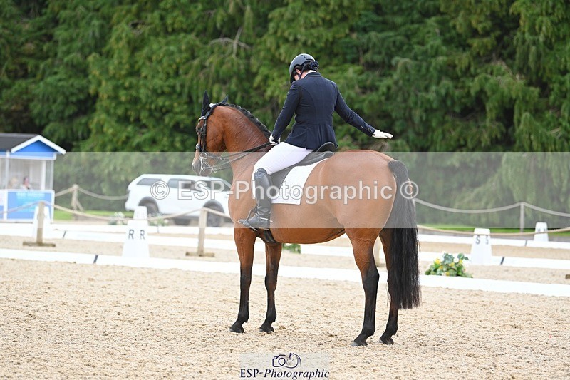 230813-132022-07535 - Cls 13 Medium Bronze 13.15 to End