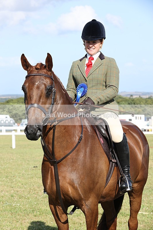 JPP_3049 - Class 20: Working Hunter 70cm