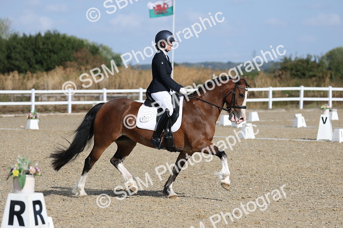 SBM_020271 - Class 21 - M5 Bronze 9.30.10.34
