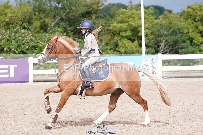 250628-094138-02918 - Cls 21 Stepping Stones