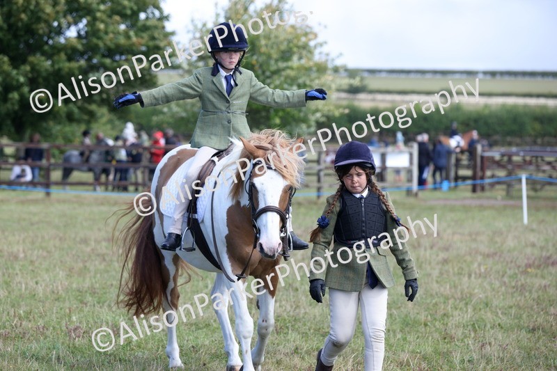 20250831-2461 - Class 16 - Family Pony