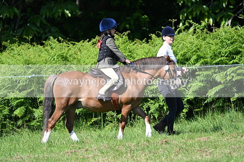 WJ7_0690 - Class 8 First Rally Pony