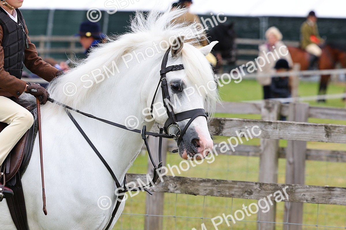 SBM_08421 - Class 42-43 - LIHS BSPS Heritage Working Sports Pony