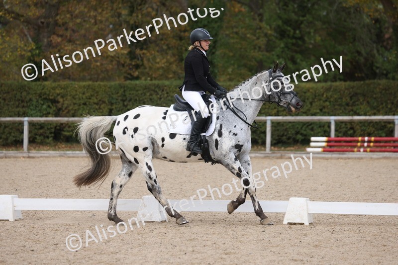 20261010-0699 - Class 6 - Novice 2